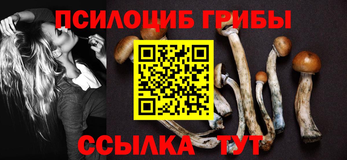 Псилоцибиновые грибы MAGIC MUSHROOMS  Вход с VPN  продажа наркотиков  Мегион  Псилоцибиновые грибы MAGIC MUSHROOMS 